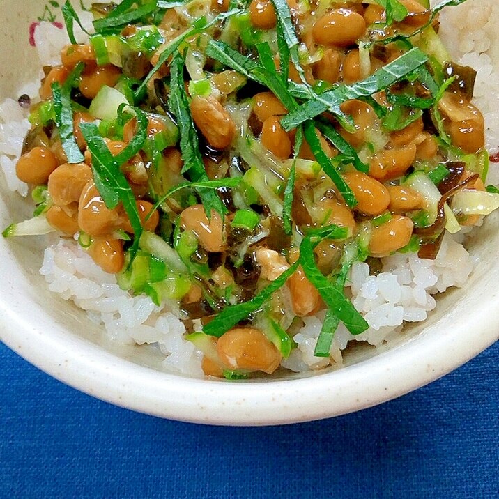 納豆の食べ方 きゅうり しそ昆布 レシピ 作り方 By Nyan260 楽天レシピ 納豆の食べ方 きゅうり しそ昆布 レシピ 作り方 By Nyan260 楽天レシピ